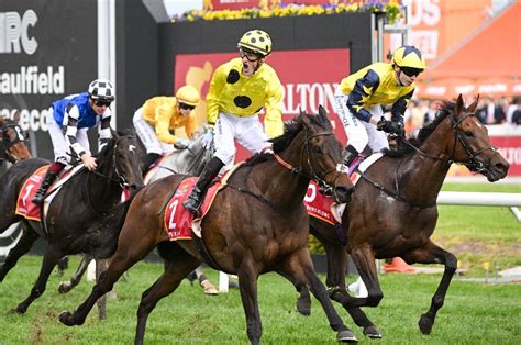 2023 Melbourne Cup Tips & Best Bets .